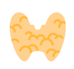 Thyroid