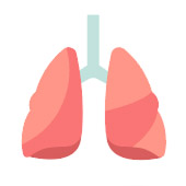 Lung