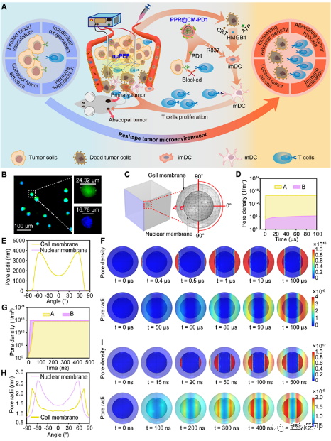 Combining "Wknife" with multifunctional nanomedicine to enhance systemic anti-tumor immunity