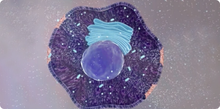 Novel Physical Ablation Cell Death Pathway