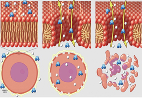 Working Principle Diagram