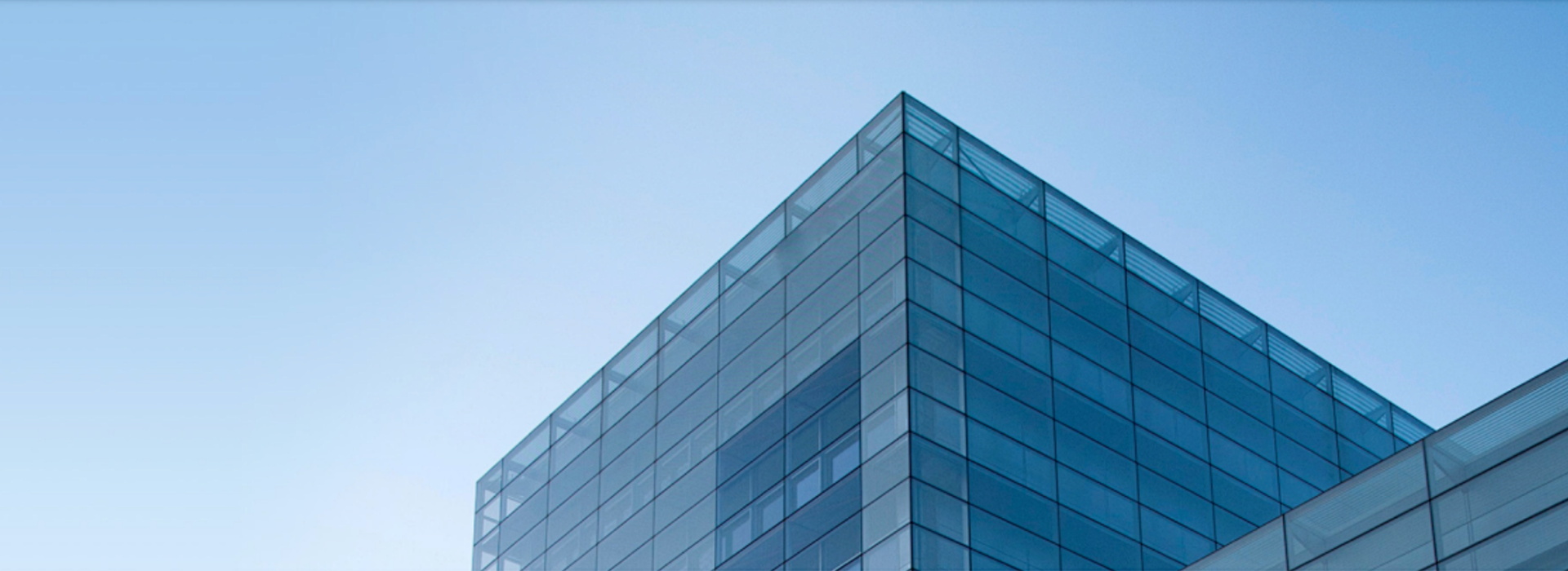 Pioneer in the Theory and Practice of Irreversible Electroporation