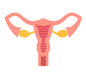 Uterine Fibroids